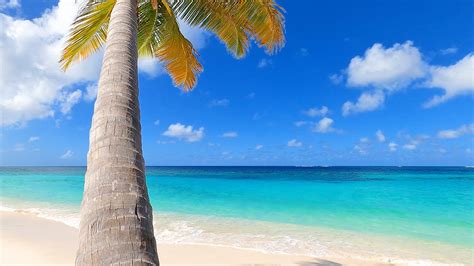 beach xvideos|on.